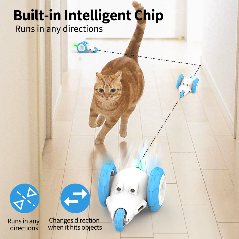 Best Interactive Cat Chew Toys For bored cats - Moebypet