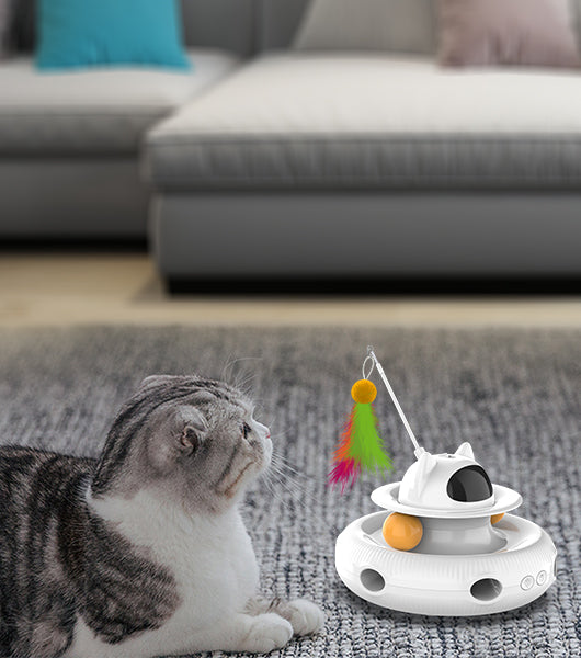 Cat Toys: Cat Toys: Interactive Cat Toys For Indoor Cats | Moebypet