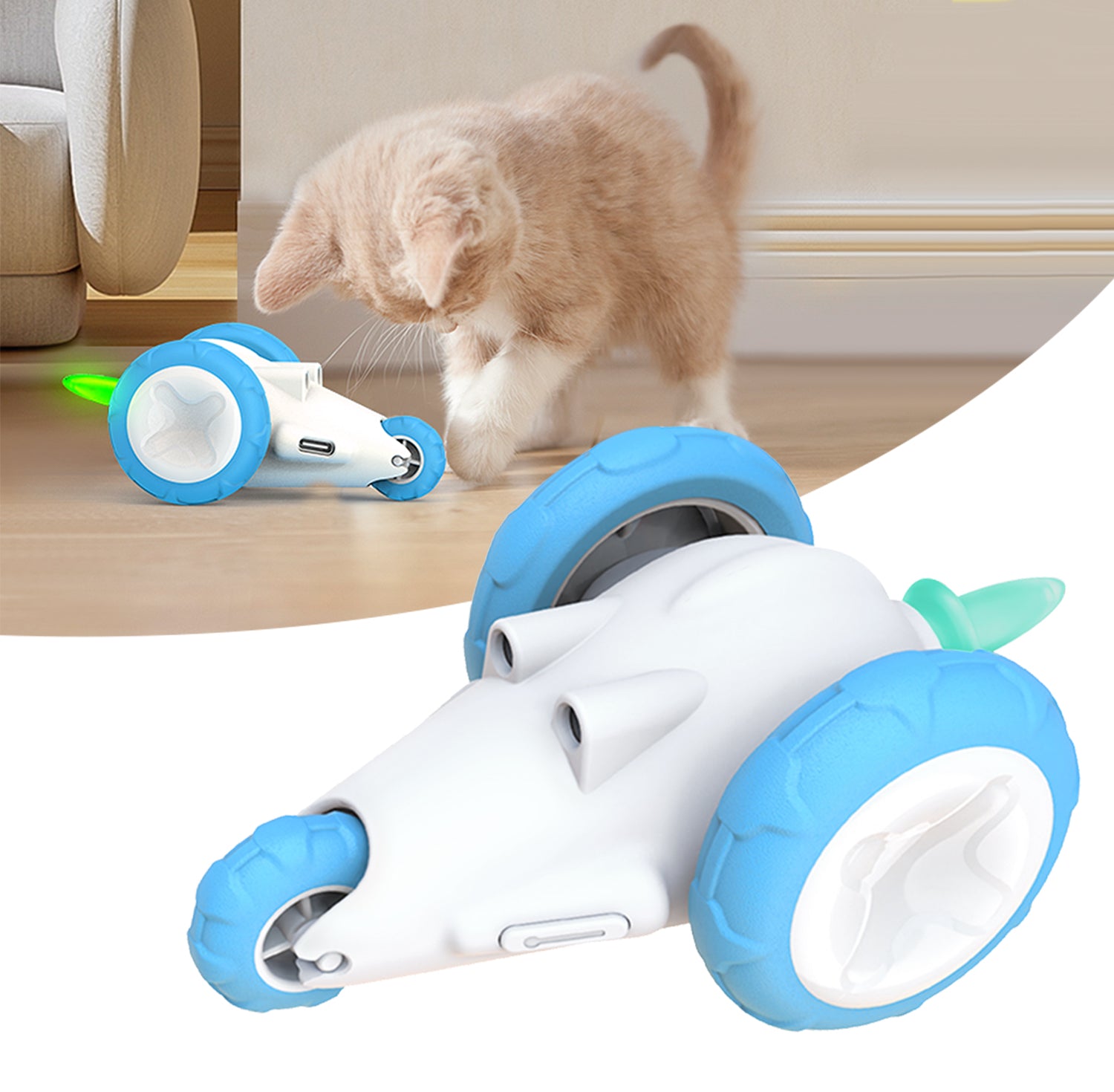 Wheel Interactive Cat Toys, Kitten toys that move - Moebypet