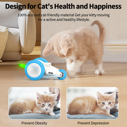 Wheel Interactive Cat Toys For Indoor Cats