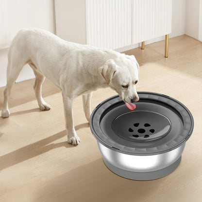 KM60 Healthy Pace Feeder: Durable, Hygienic & Mess-Free Mealtime