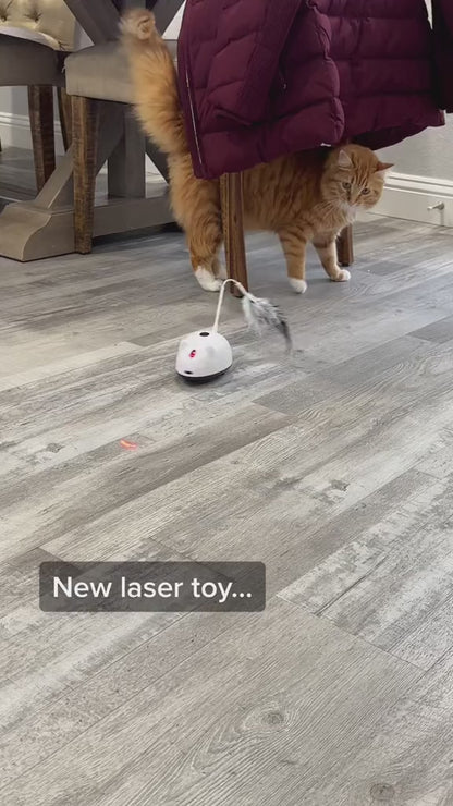 Automatic Mouse Toys with Real Mouse Sound